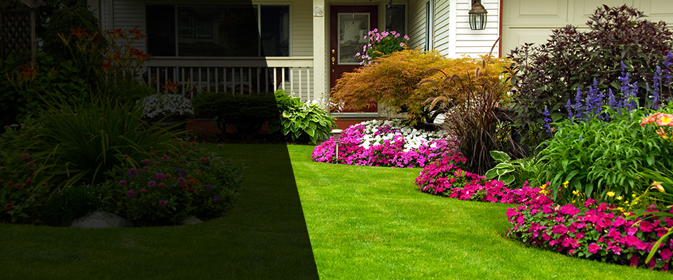 Grayson Landscapers